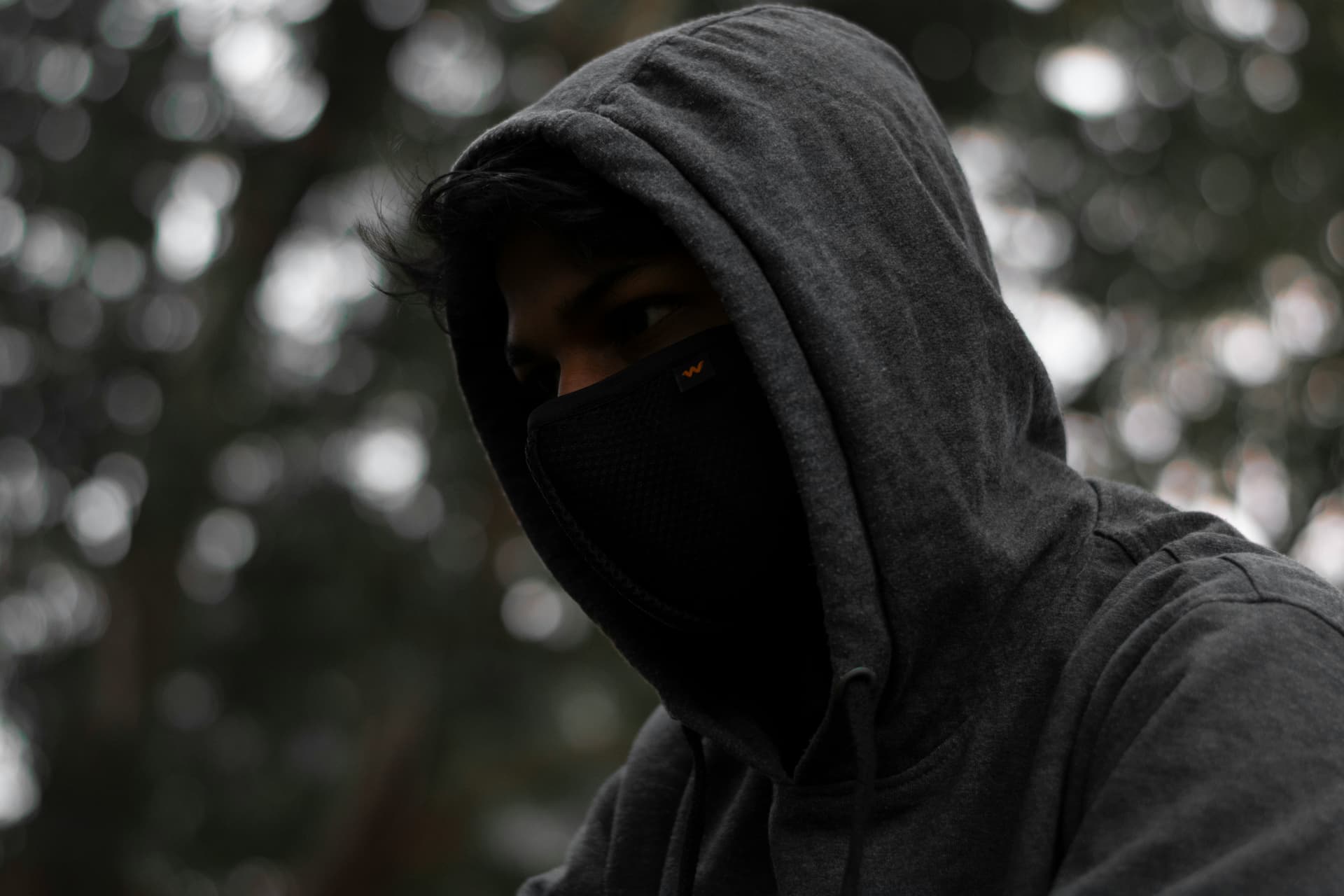 How the hoodie conquered the world